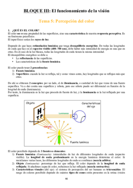 TEMA 5.pdf