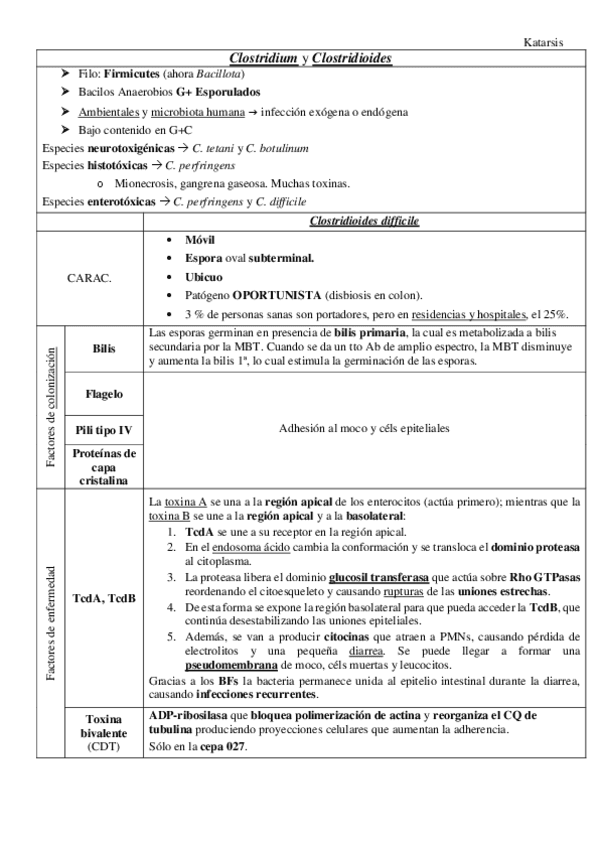 Clostridium.pdf