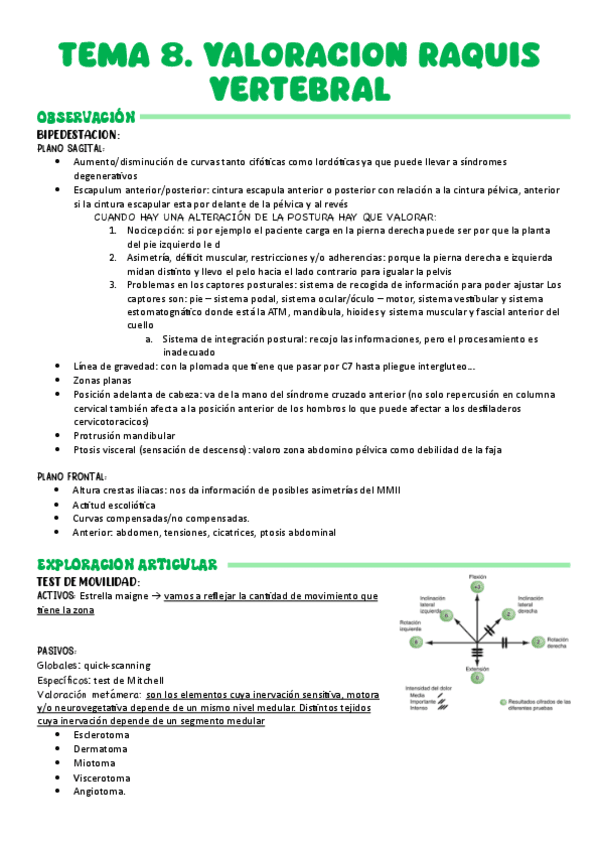 TEMA-8.-VALORACION-RAQUIS-VERTEBRAL.pdf