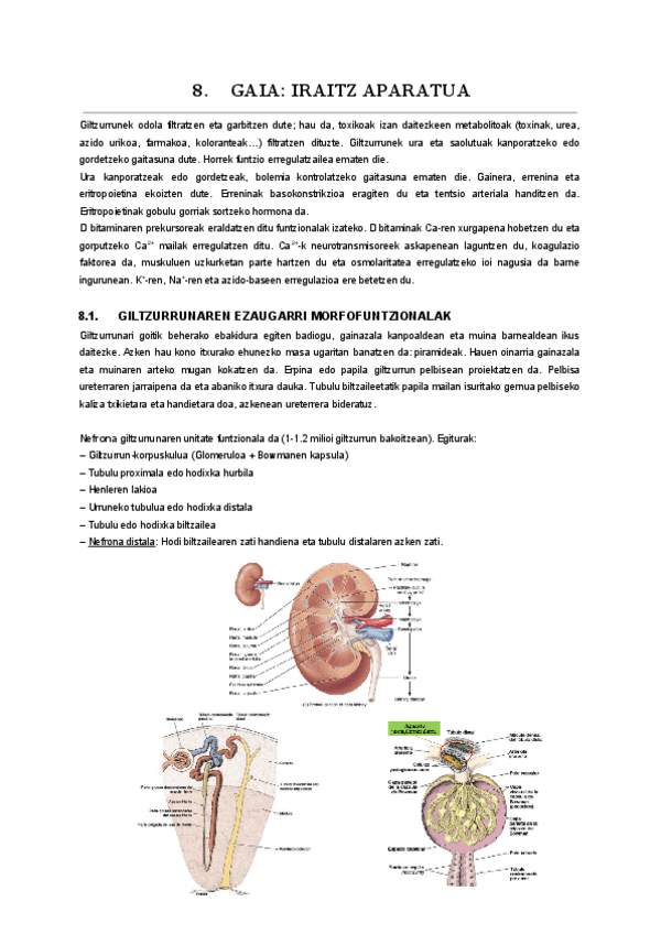 08.-gaia.pdf