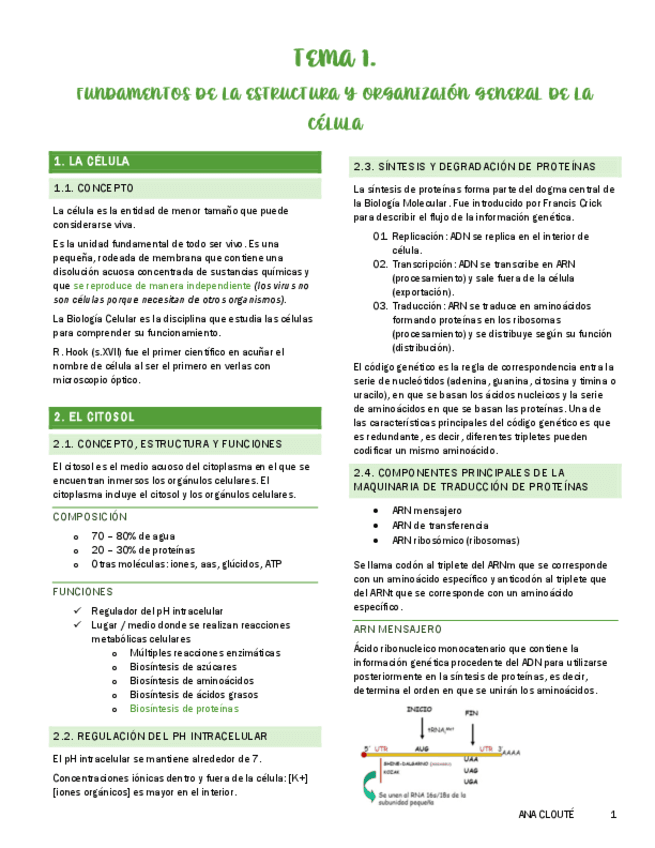 Tema-1.pdf