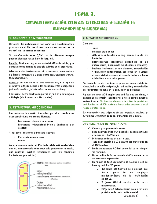 Tema-3.pdf