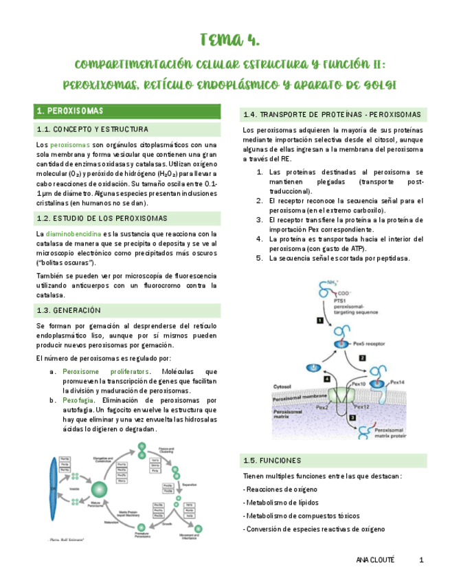 Tema-4.pdf