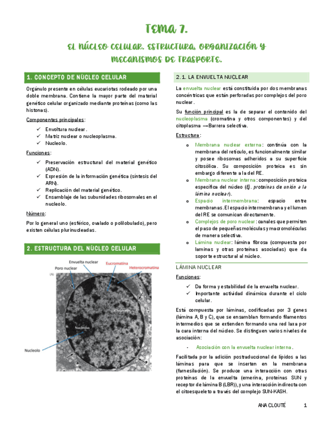 Tema-7.pdf