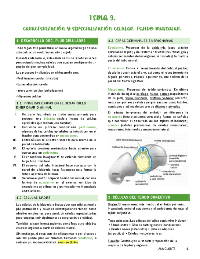 Tema-9.pdf