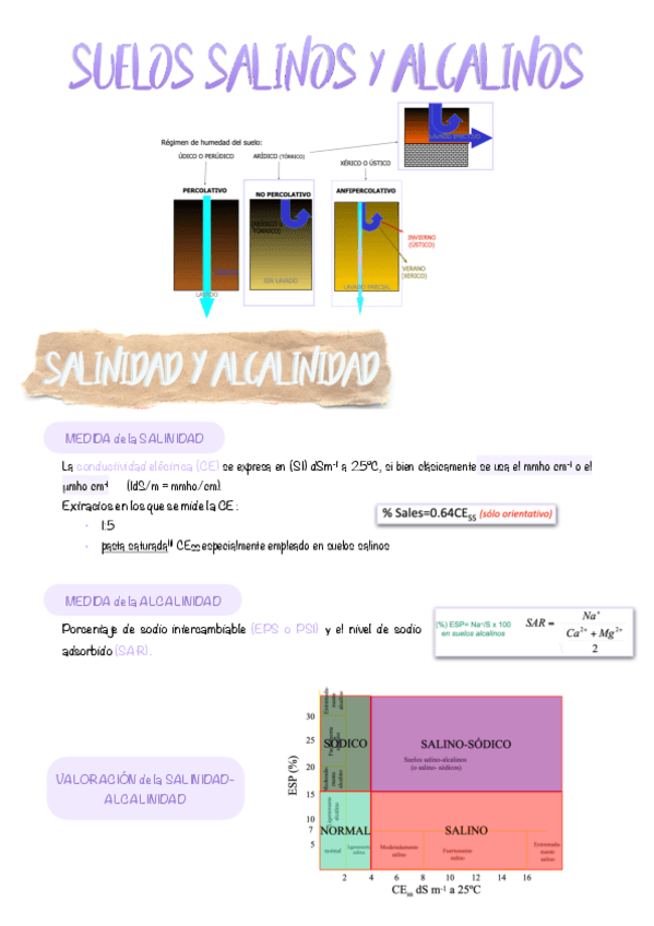 10.-Suelos-alcalinos-y-salinos.pdf