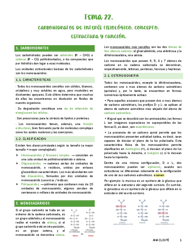 Tema-22.pdf