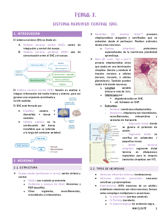 Tema-7-Histologia.pdf