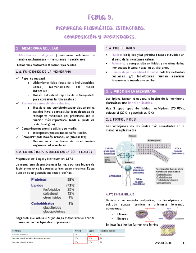 Tema-9-Fisiologia.pdf