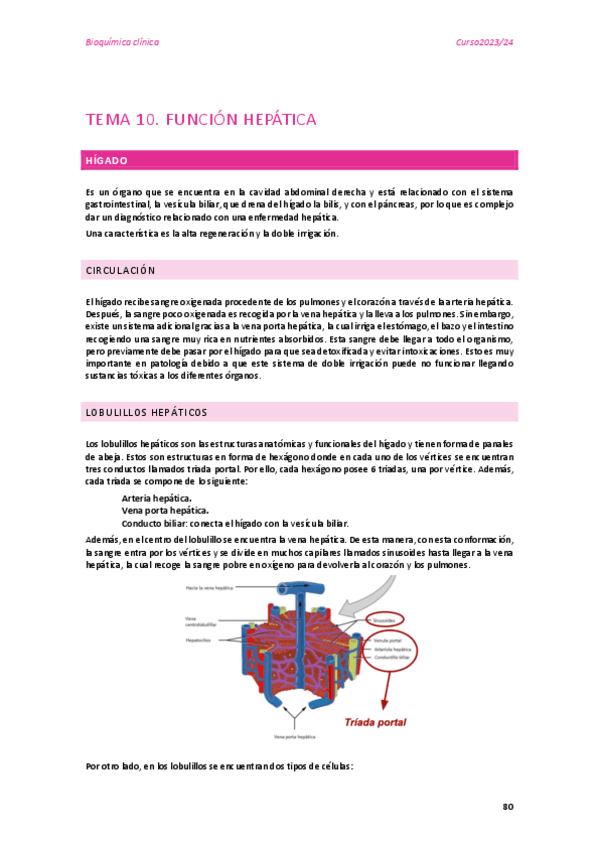 TEMA-10.pdf