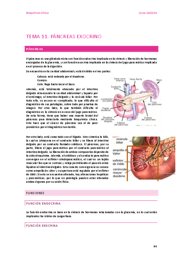 TEMA-11.pdf