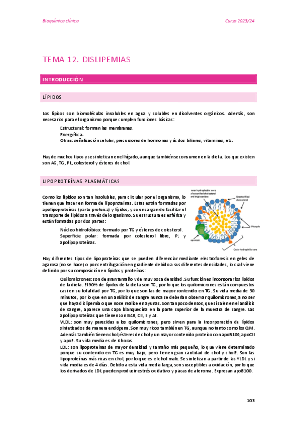 TEMA-12.pdf