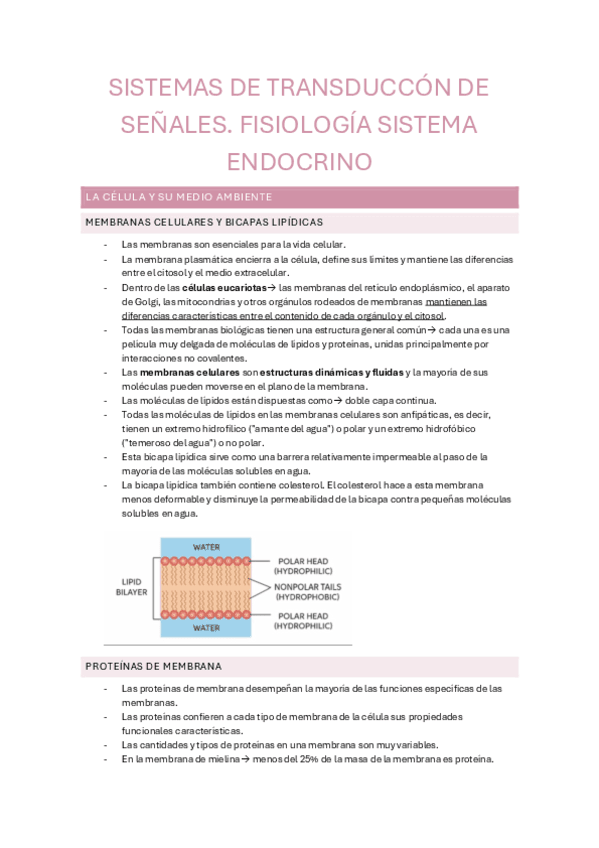 TEMA-5-FISIOLOGIA-SISTEMA-ENDOCRINO-parte-1.pdf