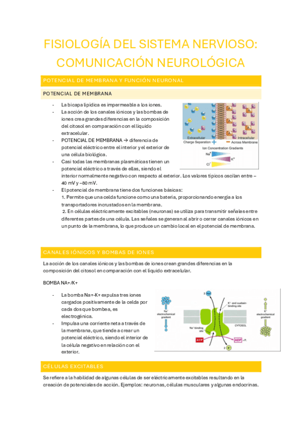 6.1-COMUNICACION-NEUROLOGICA.pdf