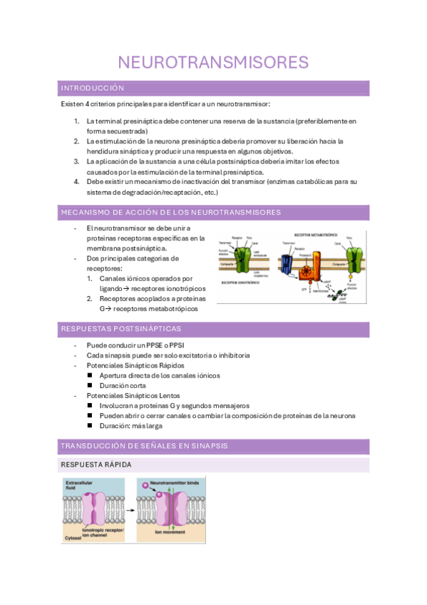 6.2-NEUROTRANSMISORES.pdf