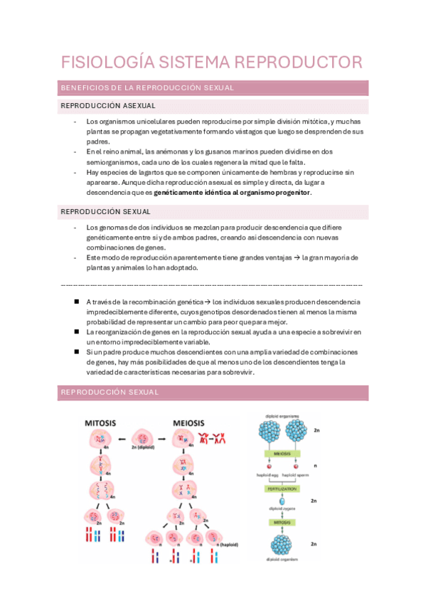 9.-SISTEMA-REPRODUCTOR-FISIO.pdf