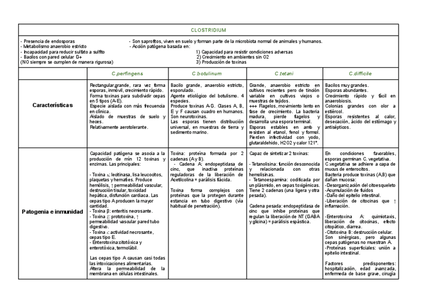 Clostridium.pdf