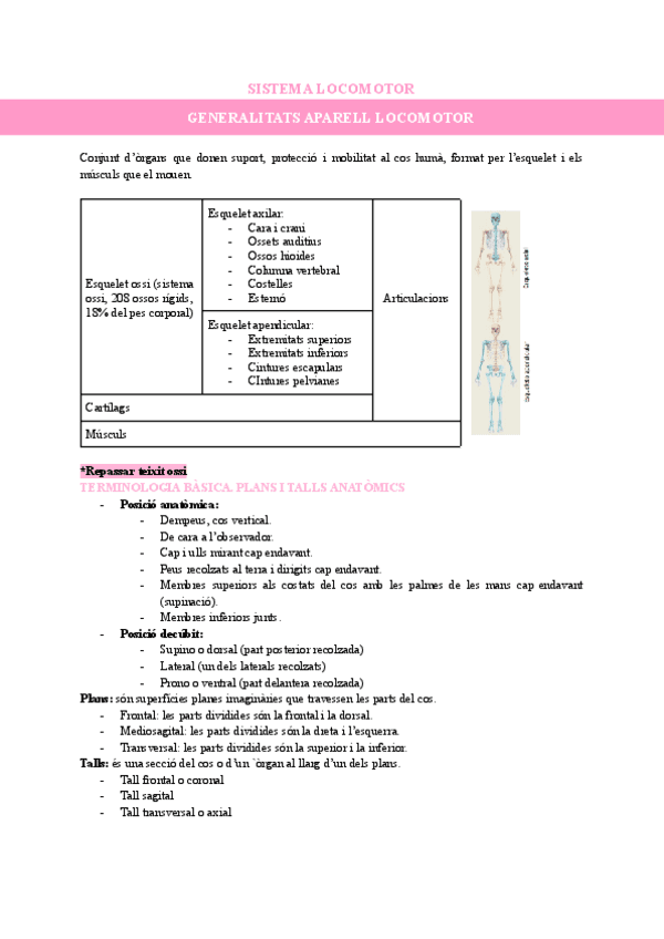T3-SISTEMA-LOCOMOTOR.pdf