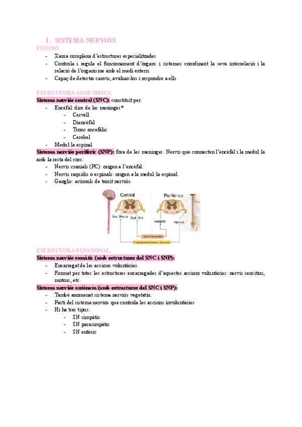 T2-SISTEMA-NERVIOS.pdf