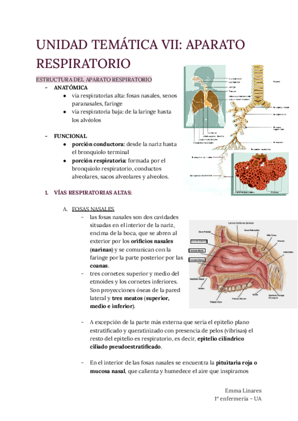 TEMA-7-Aparato-Respiratorio.pdf