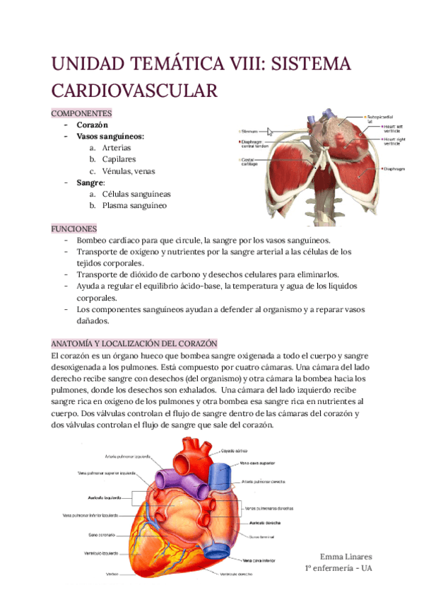 TEMA-8-Sistema-Cardiovascular.pdf