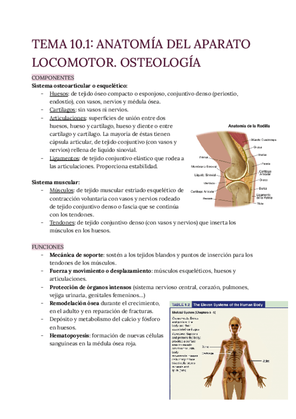 TEMA-10.1-Osteologia.pdf
