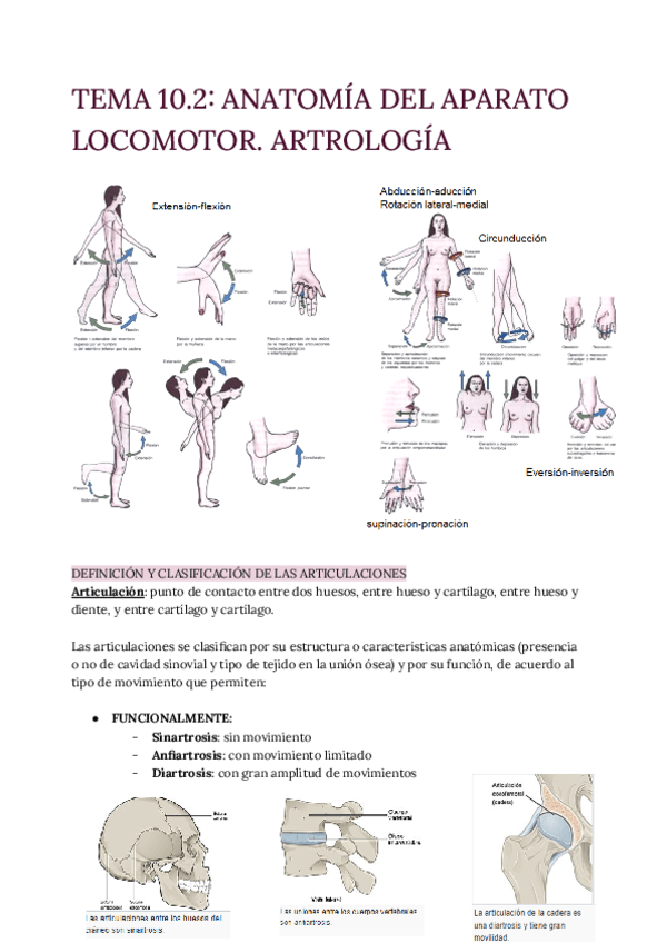 TEMA-10.2-Artrologia.pdf