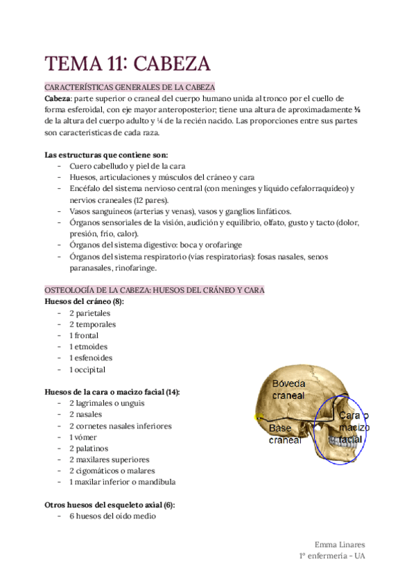 TEMA-11-Cabeza.pdf