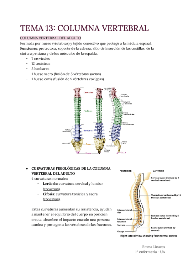 TEMA-13-Columna-Vertebral.pdf