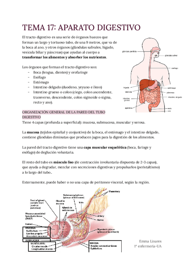 TEMA-17-Aparato-Digestivo.pdf