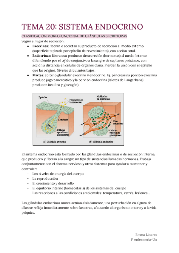 TEMA-20-Sistema-Endocrino.pdf