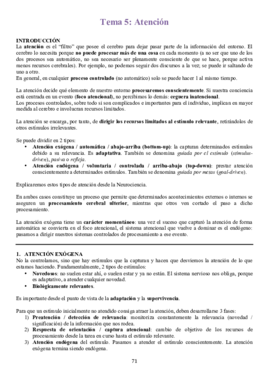 TEMA 5.pdf