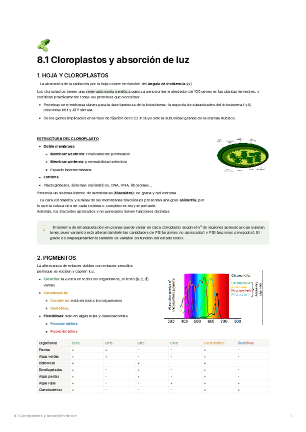 8.1.-Cloroplastos-y-absorcion-de-luz.pdf