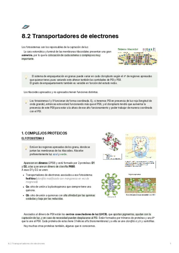 8.2.-Transportadores-de-electrones.pdf