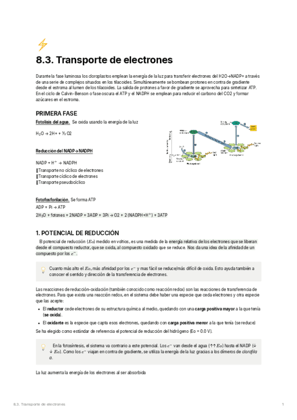 8.3.-Transporte-de-electrones.pdf