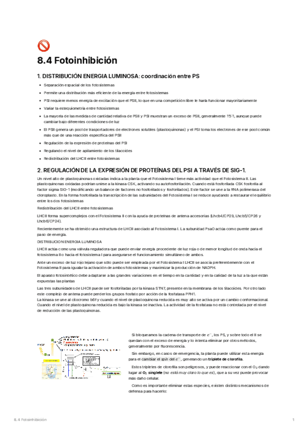 8.4.-Fotoinhibicion.pdf