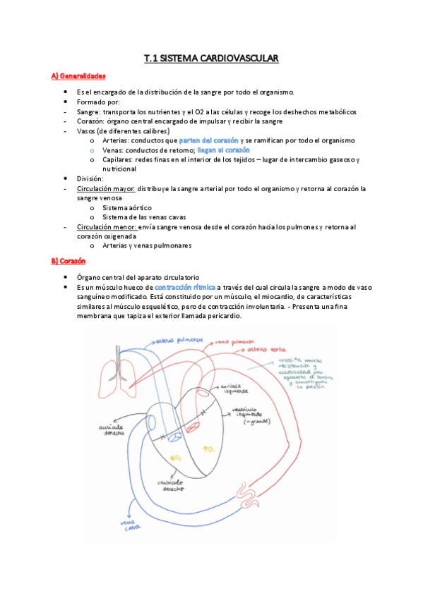 T.2-Sistema-cardiovascular.pdf