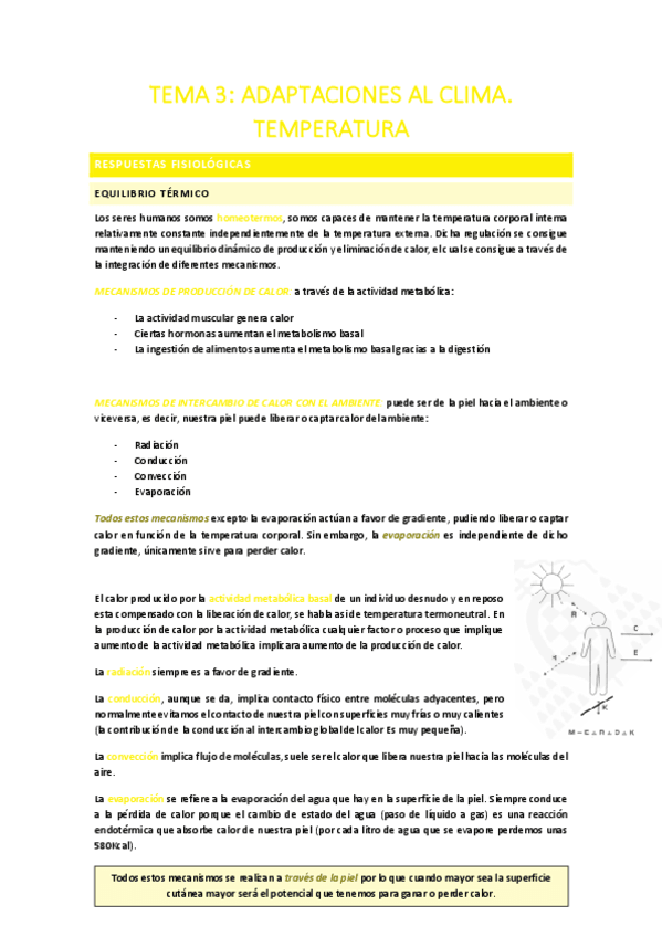 TEMA-3.pdf