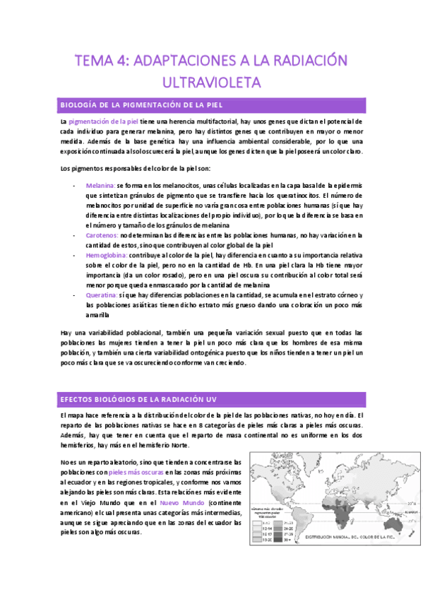 TEMA-4.pdf