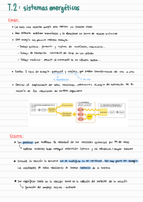 T2Sistemas-energeticos.pdf