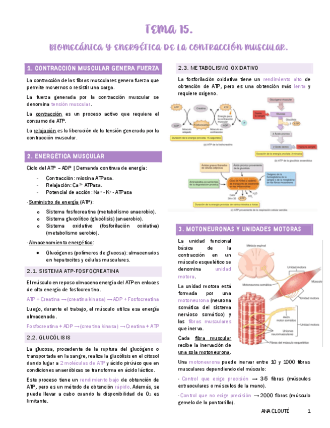 Tema-15-Fisiologia.pdf