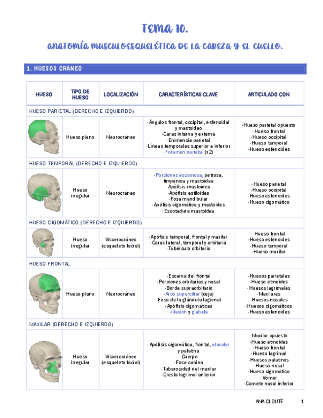 Tema-10-Anatomia.pdf