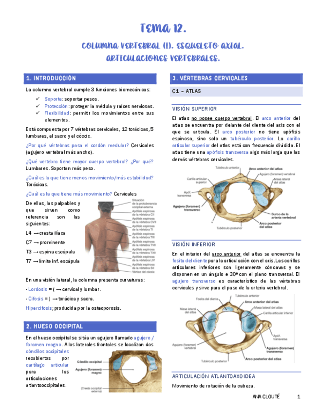 Tema-12-Anatomia.pdf