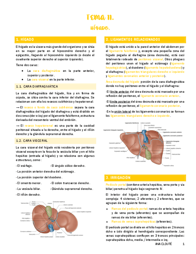 Tema-11.pdf