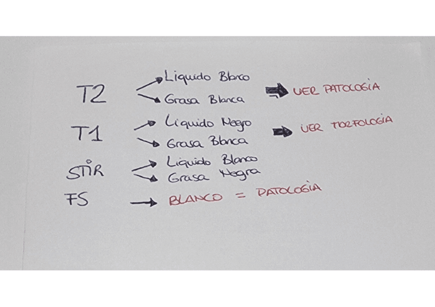 Image-to-PDF-20240905-18.02.59.pdf