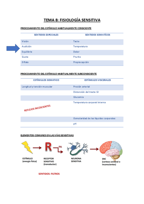 TEMA-8-fisiologia-sensitiva.pdf