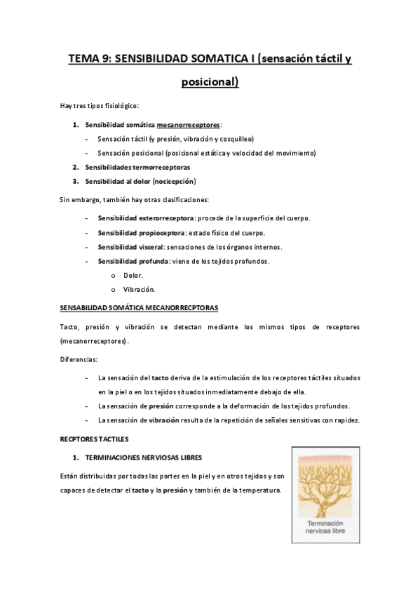 TEMA-9-sensibilidad-somatica-I.pdf