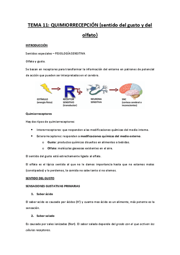 TEMA-11-sentido-del-gusto-y-del-olfato.pdf