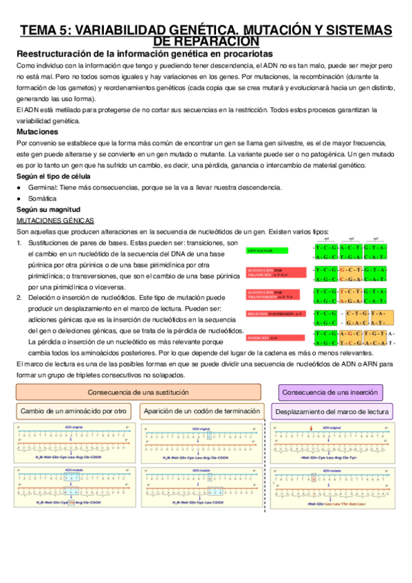 Tema-5.pdf