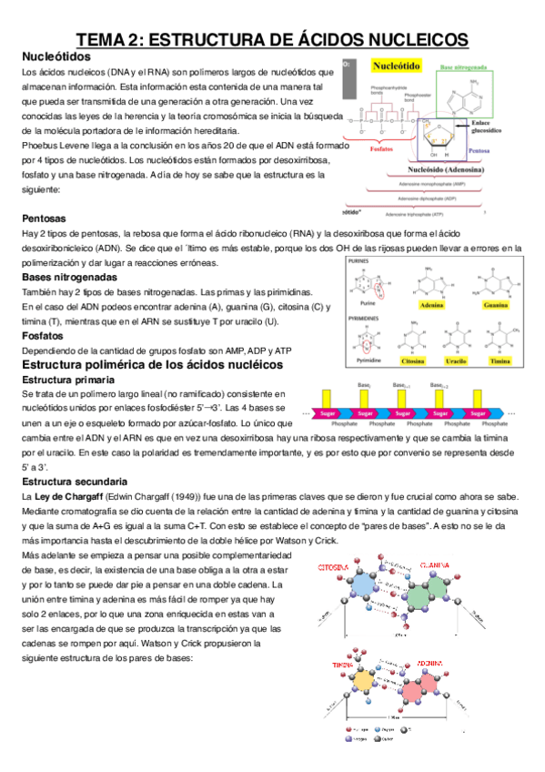 Tema-2.pdf